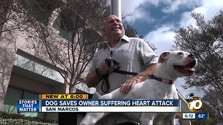 Dog saves owner suffering 'widow-maker' heart attack