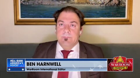 Harnwell: Biden has delegated to Zelensky the decision whether the US is formally at war with Russia