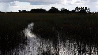 EPA Officially Scraps Obama-Era Clean Water Regulation