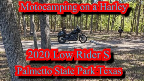 MotoCamping | Palmetto State Park | Harley Davidson | Low Rider S
