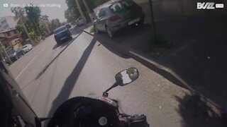 Motociclista resgata gatinha da estrada