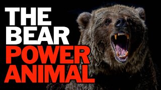 The Bear Power Animal
