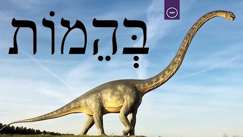 "Does The Bible (Job 40) Describe A Sauropod Dinosaur(Behemoth)?" | Excerpt | 1:04