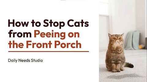 How to Stop Cats from Peeing on the Front Porch - Daily Needs Studio