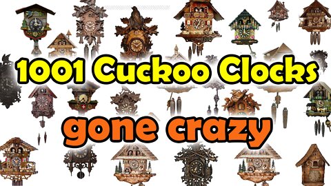 1001 Cuckoo Clocks gone crazy