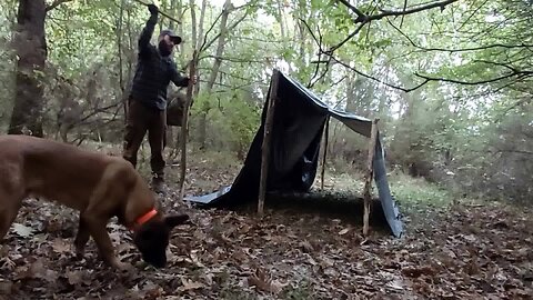Solo Bushcraft Trip | Tarp shelter | Collecting Mushrooms and Cooking