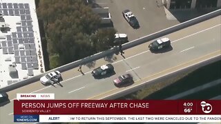 Person jumps off freeway following police chase