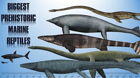 The Evolution of the Marine Reptiles