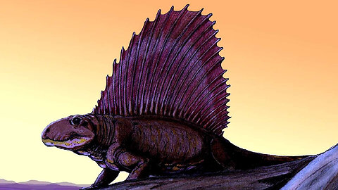 How The Dimetrodon Was A Werid Apex Predator!
