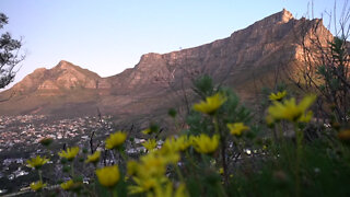 Table Mountain Views from Lion's Head