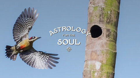 Astrology for the Soul December 14, 2022