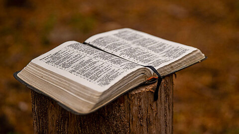 KTF News - Young Brits Open to Banning the Bible ‘Unless the Offended Parts Can Be Edited Out’