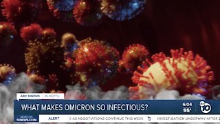 In-Depth: What makes omicron so infectious?