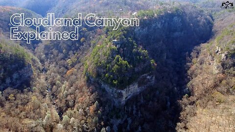 Top 3 Trails of Cloudland Canyon Explained