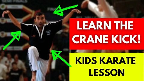 Karate Training for Kids at Home | Learn the Crane Kick! | Dojo Go (Week 16)