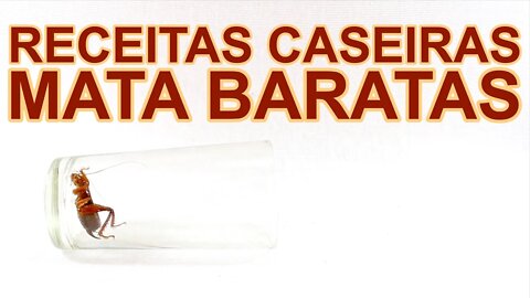 receitas caseiras pra matar baratas