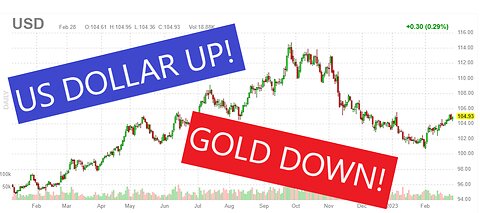 US Dollar going UP! Gold DOWN! Trading Tutorial - Monthly Copy Trading Report