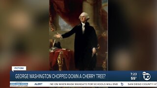 Fact or Fiction: George Washington chopped tree?