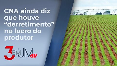 Mesmo com safra recorde em 2023, PIB do agro brasileiro cai quase 1%