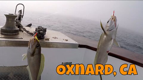 Das Alotta Whitefish ᐠ( ᐛ )ᐟ Charter Fishing Oxnard, CA