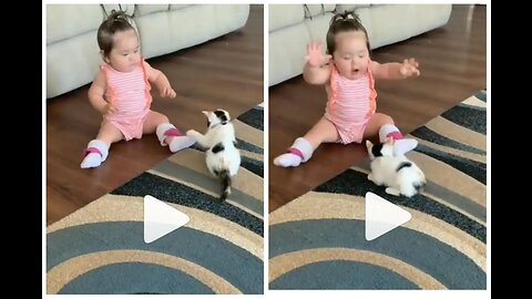 Funny Baby Playing Peek A Boo With Cat 🥰