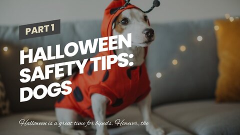 Halloween Safety Tips: Dogs