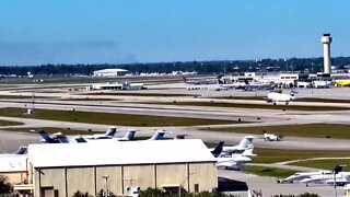 Bird strike forces emergency landing at PBIA