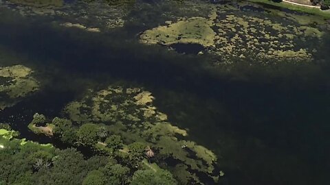 Man killed in suspected gator attack in Largo | Action Air 1