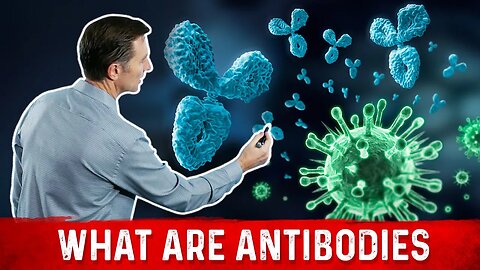 How Immunity is Created: Antibodies