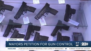 Hundreds of Mayors petition for gun control