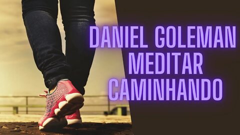 Daniel Coleman - A Arte da Meditação "Meditar Caminhando".