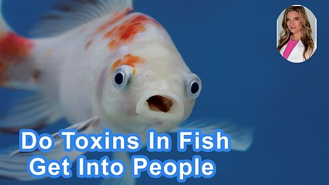Do Toxins In Fish Get Into People When Eaten?