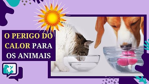 O Perigo do Calor: Como as Altas Temperaturas Podem Afetar Animais de Estimação