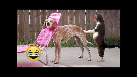 "Ultimate Cute and Funny Pets Compilation - You Won't Believe Their Antics!"