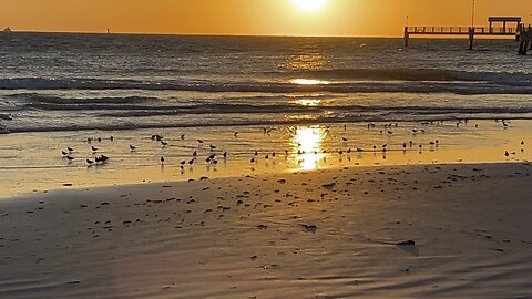 Enjoy every day Fort De Soto April 12 2024