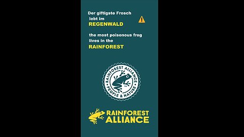 Der giftigste Frosch lebt im Regenwald❗️