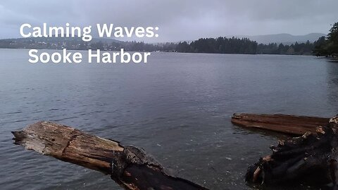 (audio)Sooke Harbor waves, great for relaxation, meditation, falling asleep.