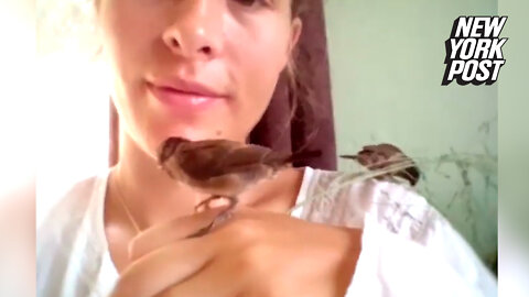 Tiny bird, abandoned by flock, nests in UK woman's hair for 84 days