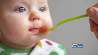 Gerber - Baby's Frist Food