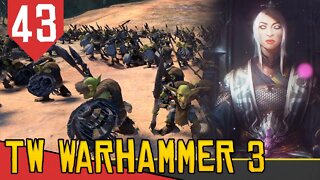 Fileira de GOBLINS - Total War Warhammer 3 Cathay #43 [Gameplay Português PT-BR]