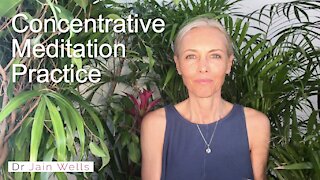 16. Concentrative Meditation Practice