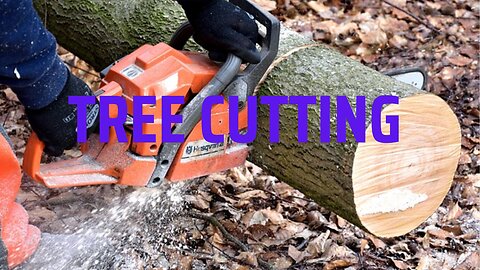 TREE CUTTING