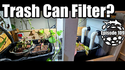DIY Aquarium Filtration Made Easy From a Trash Can!
