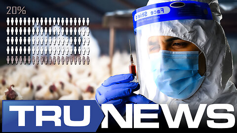 U.S. Government Has Bird Flu Vaccine Ready for One-Fifth of Population