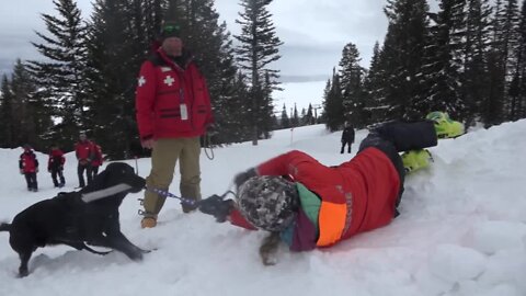Tamarack brings the Colorado Rapid Avalanche Department for multi-agency avalanche dog training