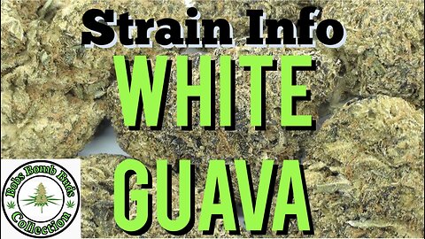 White Guava, Weed Review