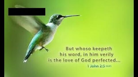 Sunday 10:30am Worship - 2/20/22 - "The Love Of God Perfected"