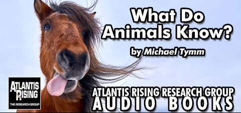 What Do Animals Know? From Atlantis Rising Magazine