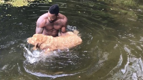 This golden retriever is NOT a fan of the water