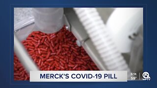 FDA advisory panel endorses Merck’s COVID-19 pill